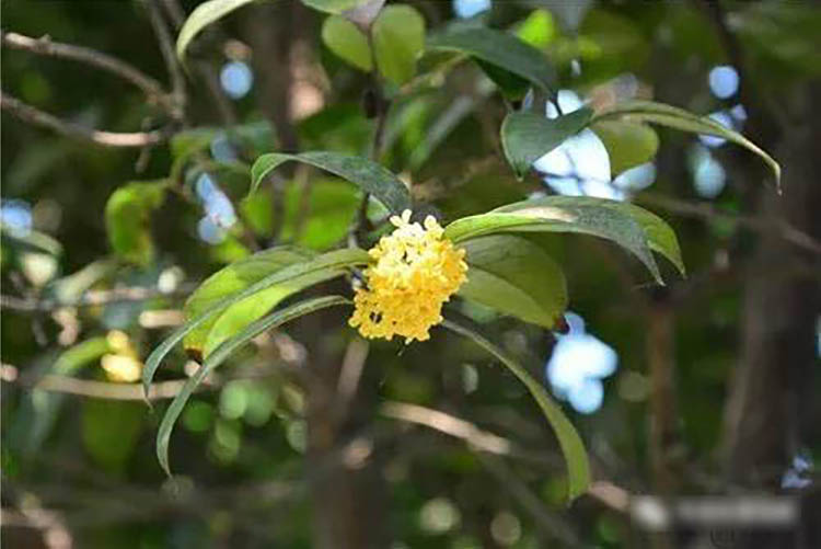 程力風(fēng)采：金秋九月，我在程力等您